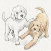 doodleandsprout